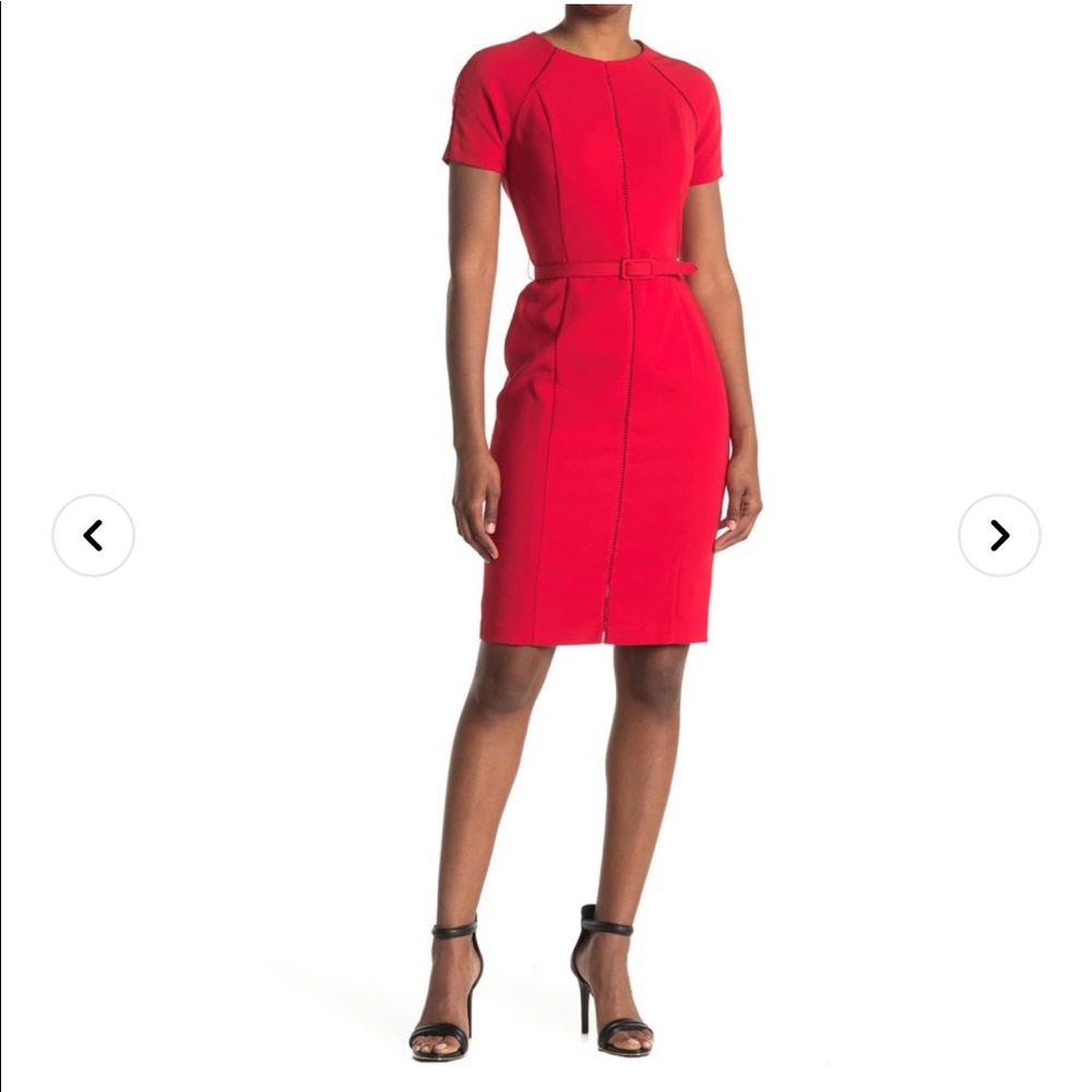 Maggy London – Short Sleeve Belted Sheath Dress (Petite) (Petite)
ROSE / 6P / 6P